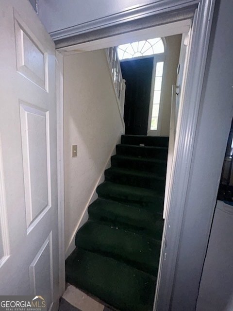 130 Mallard Drive Newnan - 25