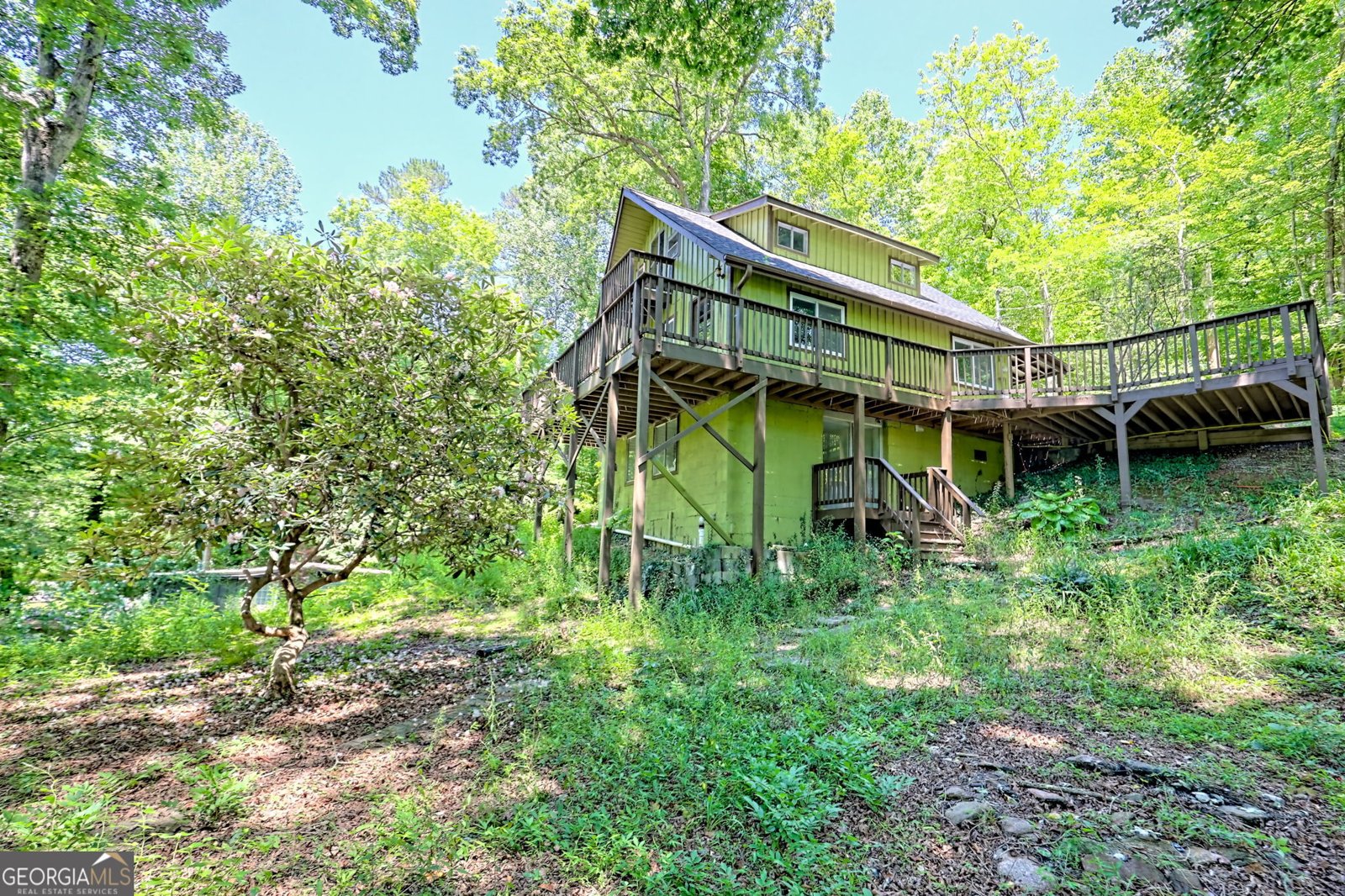 11 Electric Avenue Clayton - 2