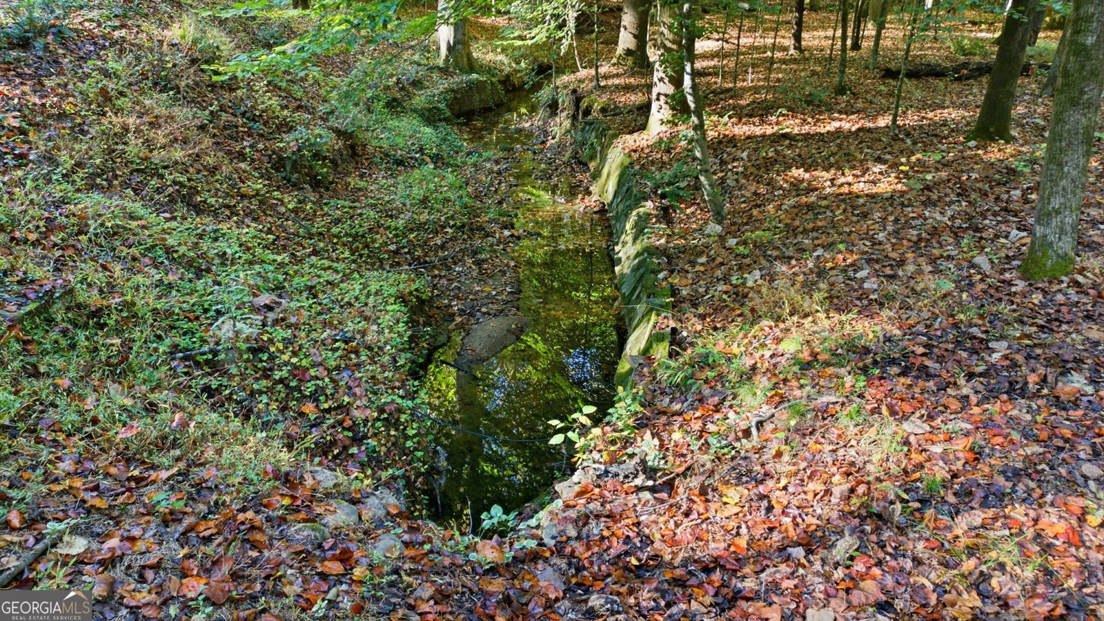 2977 Glover Drive Cumming - 10