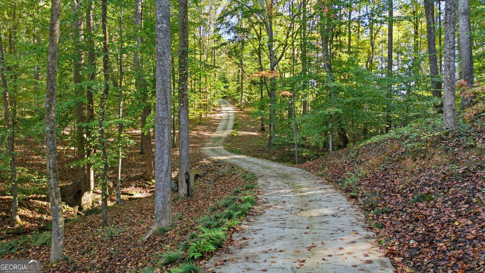 2977 Glover Drive Cumming - 11