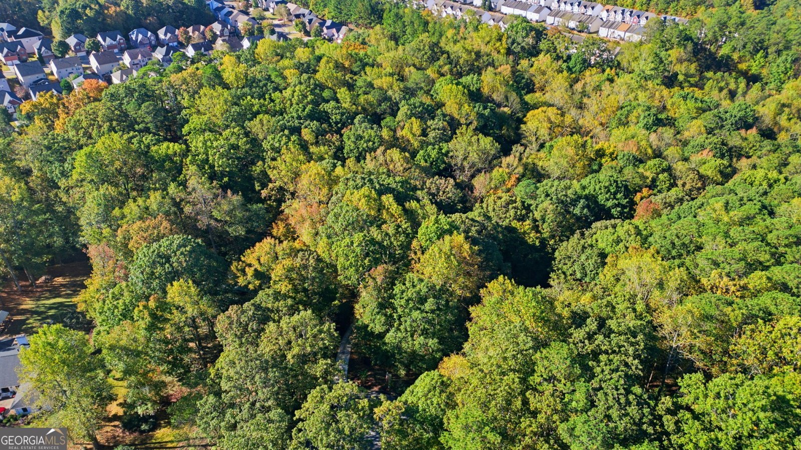 2977 Glover Drive Cumming - 5