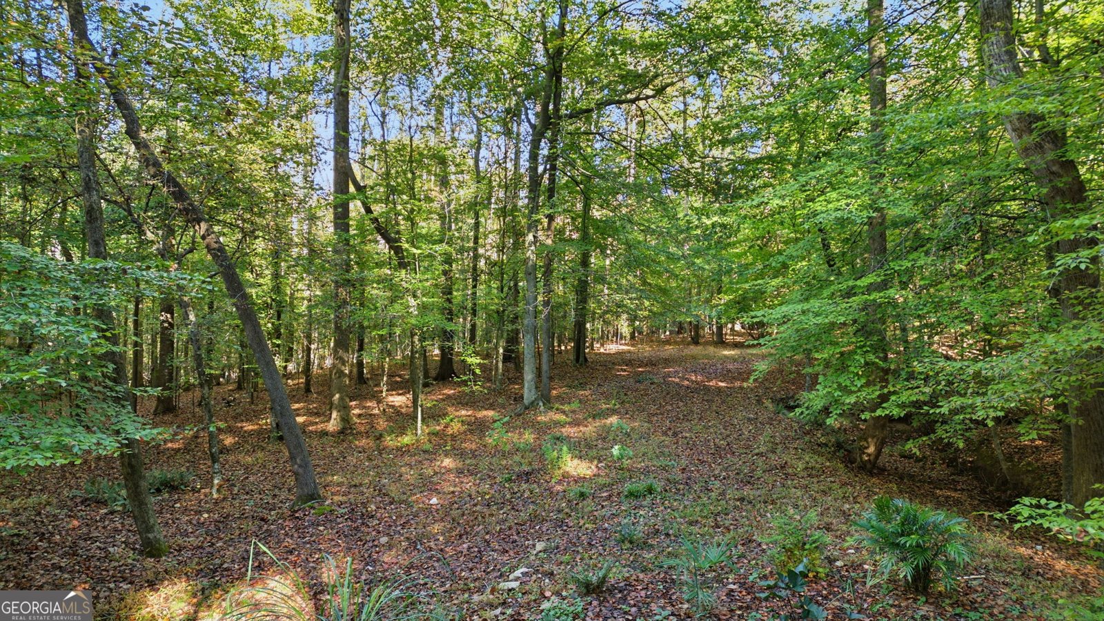 2977 Glover Drive Cumming - 9