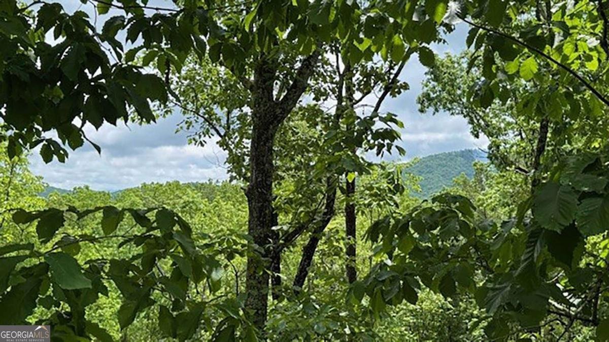 108 Crabapple Lane Mineral Bluff - 2