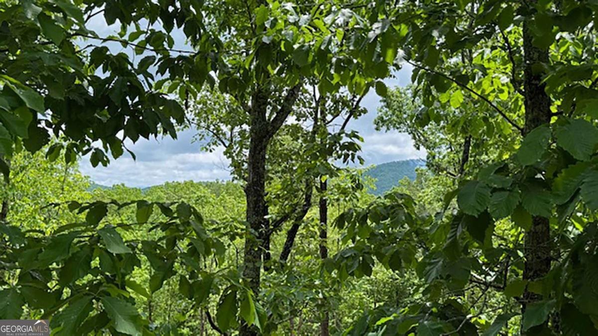 108 Crabapple Lane Mineral Bluff - 30