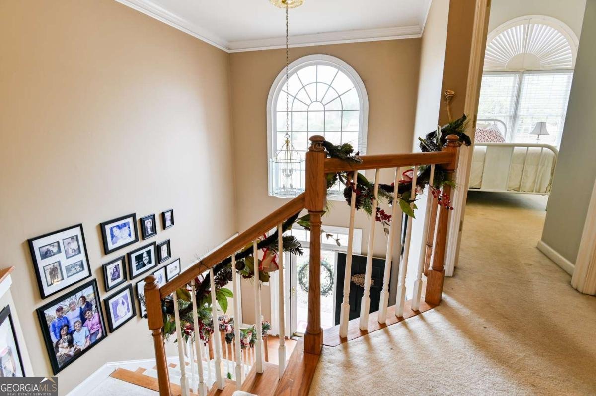 1270 Nona Drive Athens - 29