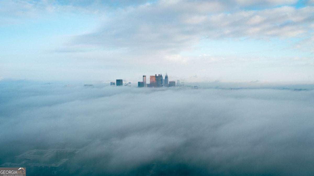 1221 Caroline Street Atlanta - 29