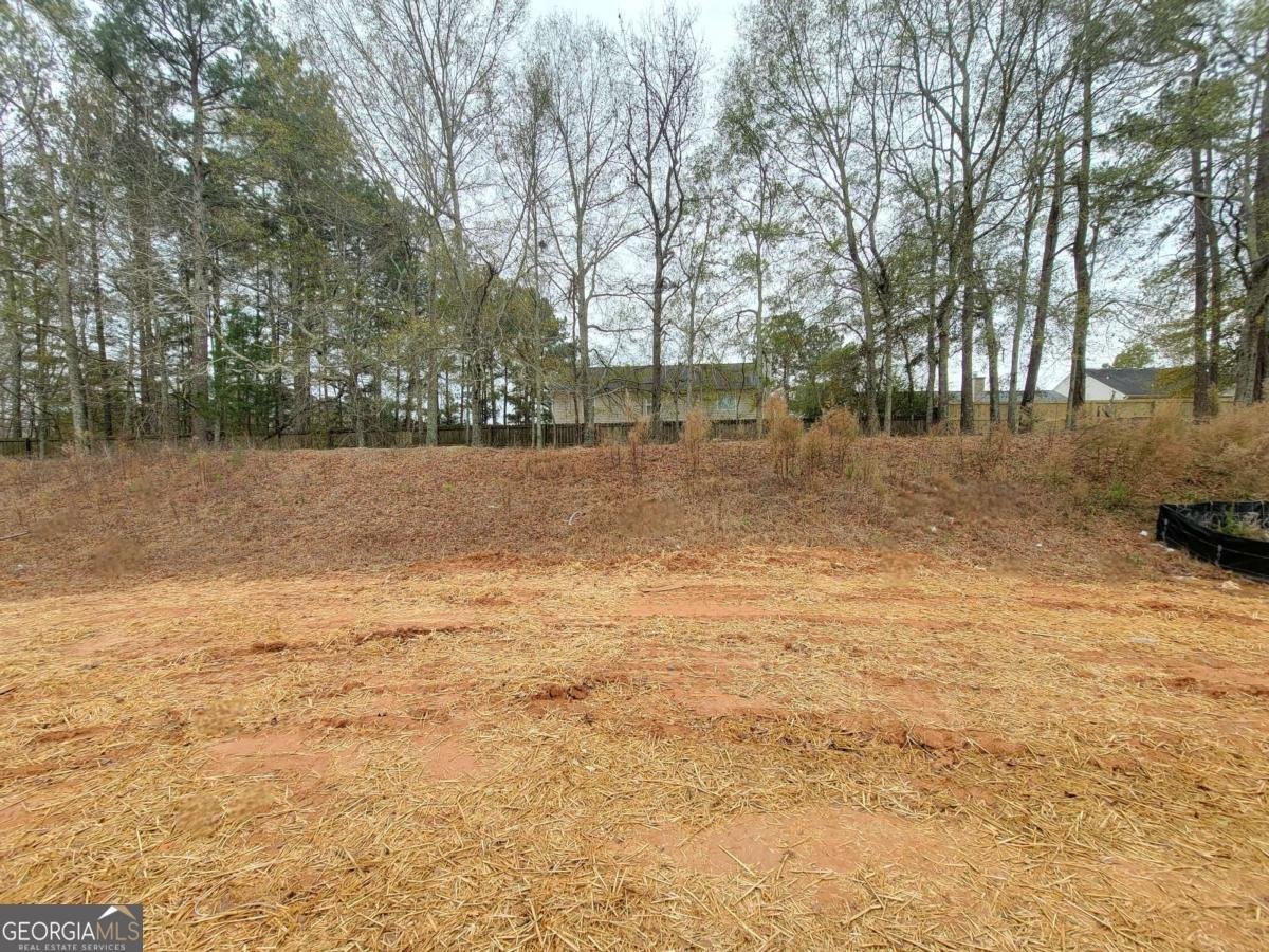 268 Silverleaf Trail Bethlehem - 9