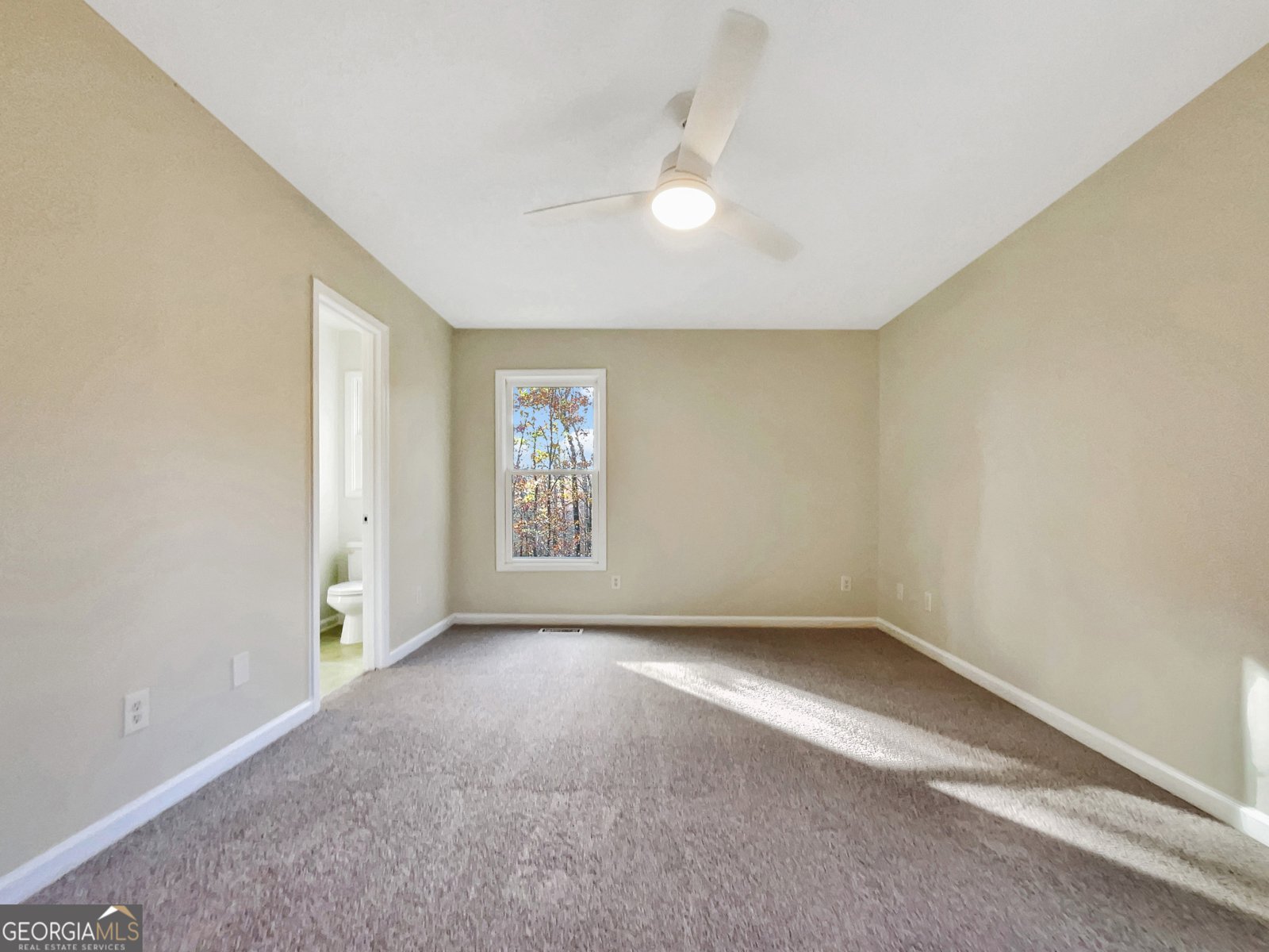 253 Mill Pointe Trail Dallas - 14