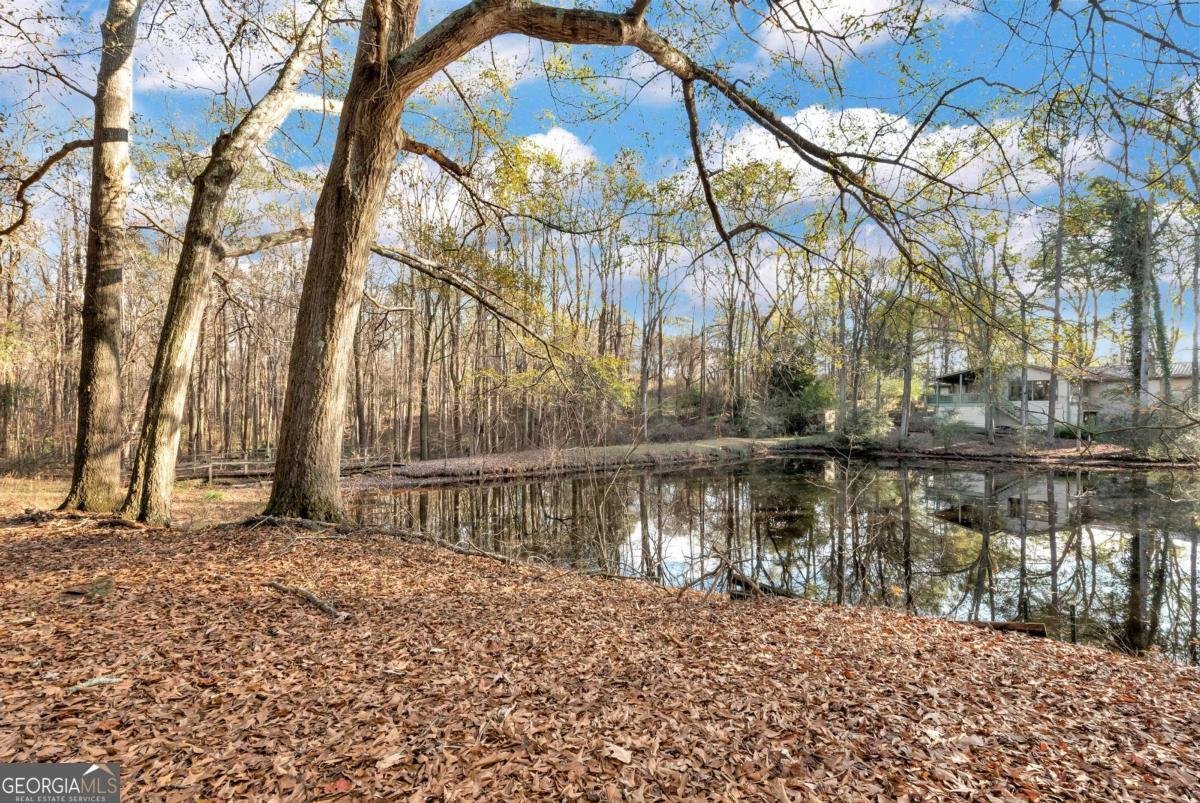 3510 Booger Hill Road Danielsville - 72