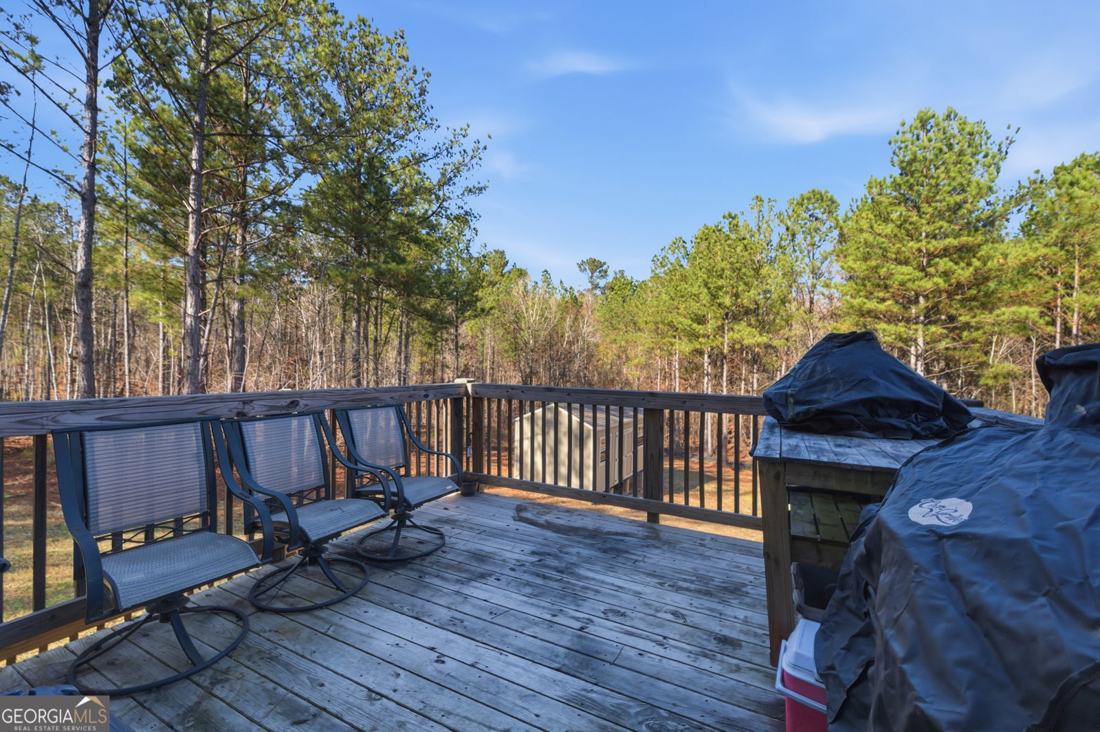 6160 Belmont Drive Douglasville - 34