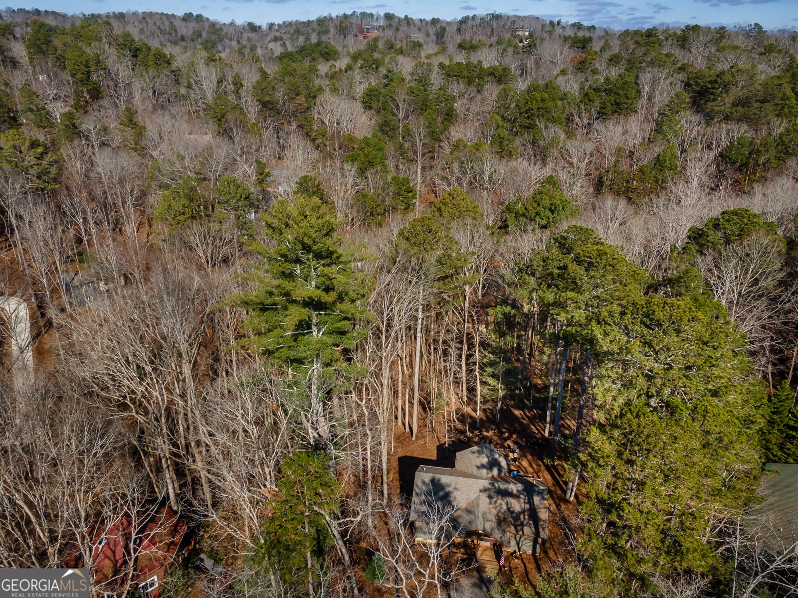 246 Armor Way Ellijay - 47