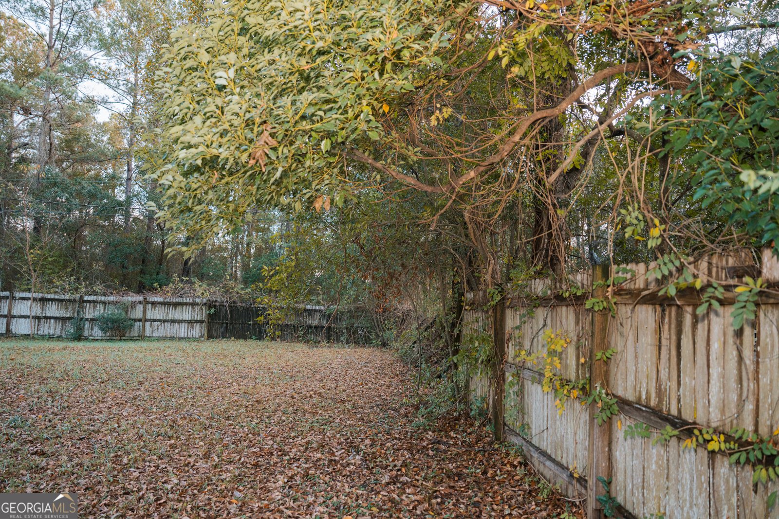 4427 Pine Valley Road Waycross - 4