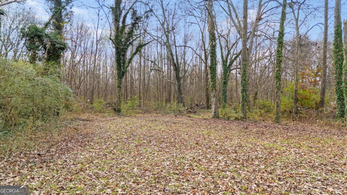 119 Peters Street Calhoun - 24