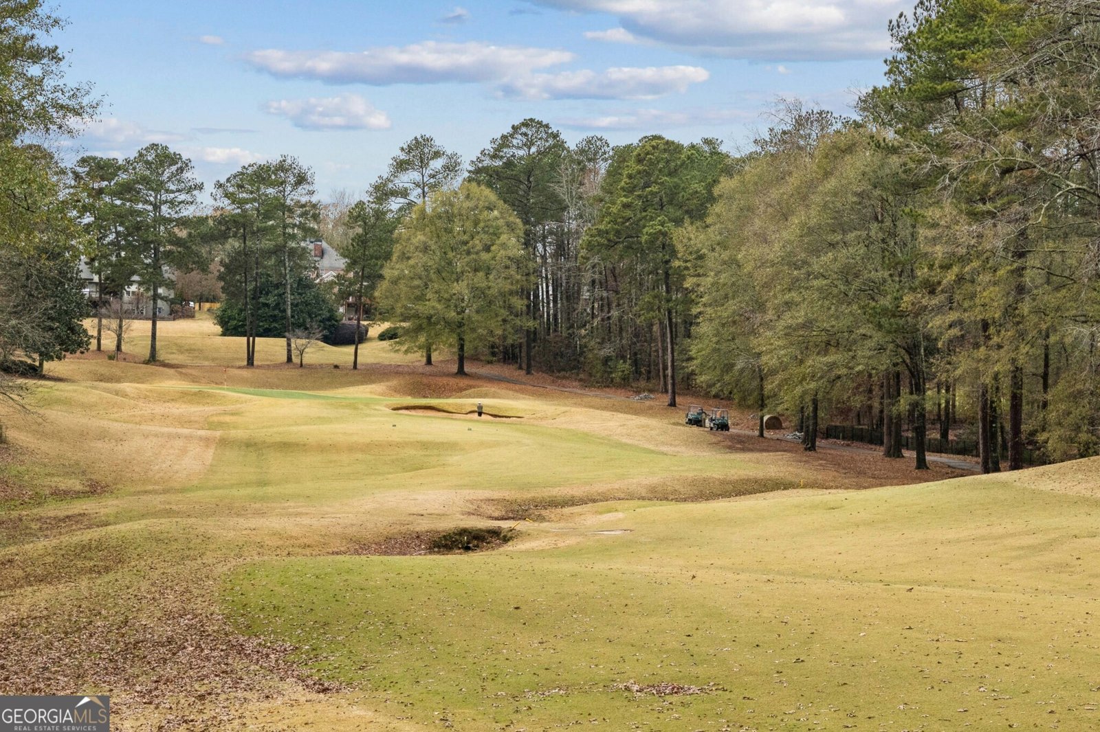 8291 Fairway Drive Covington - 49