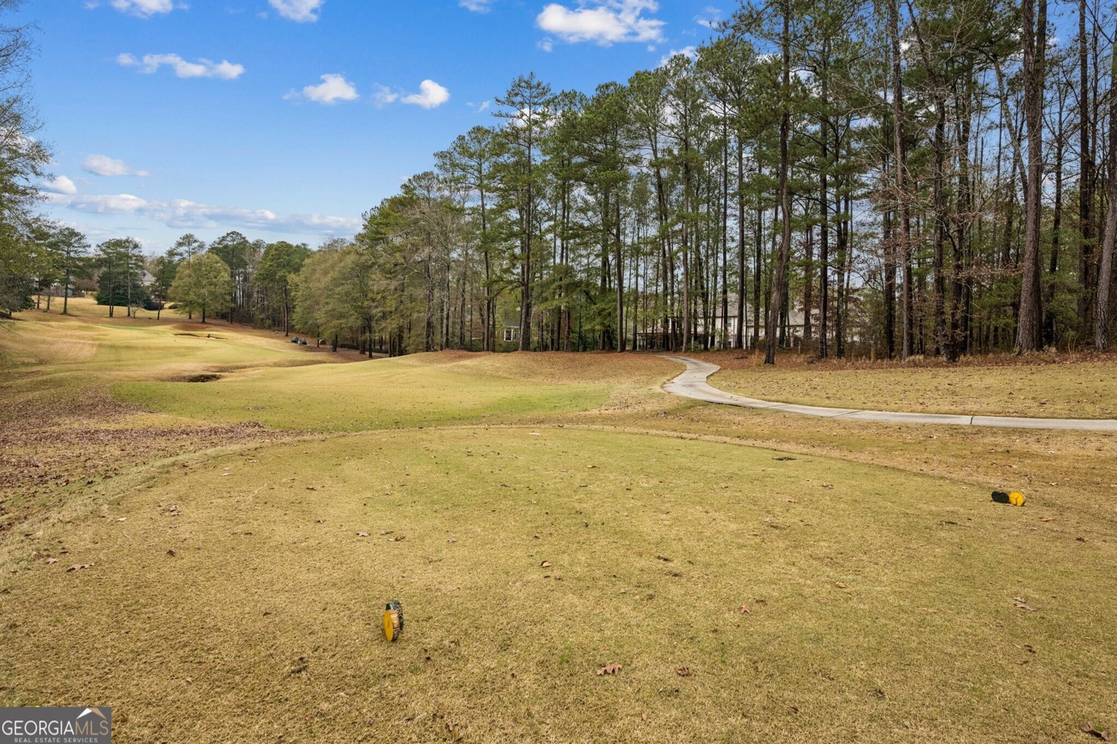 8291 Fairway Drive Covington - 50