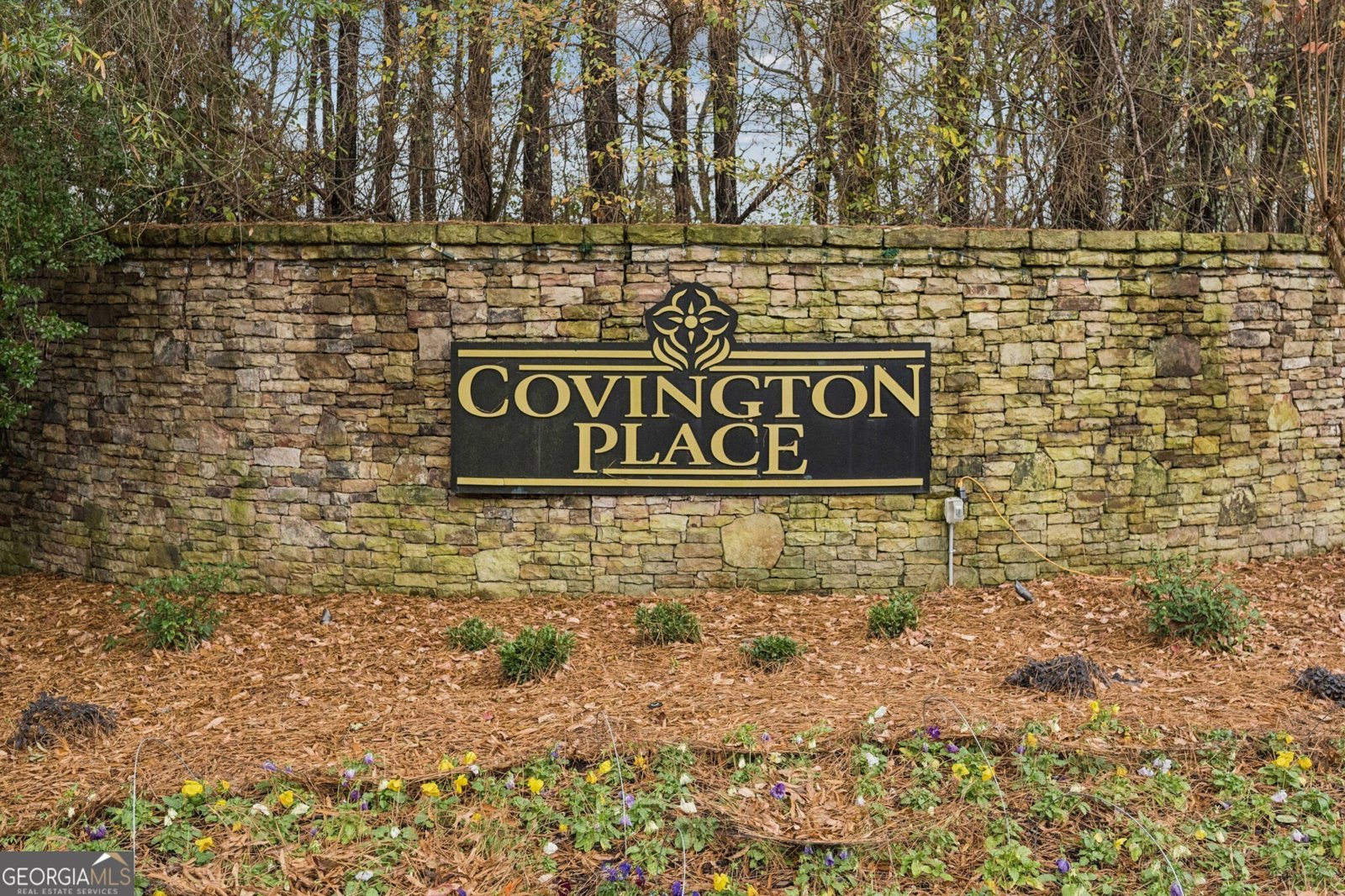 8291 Fairway Drive Covington - 55