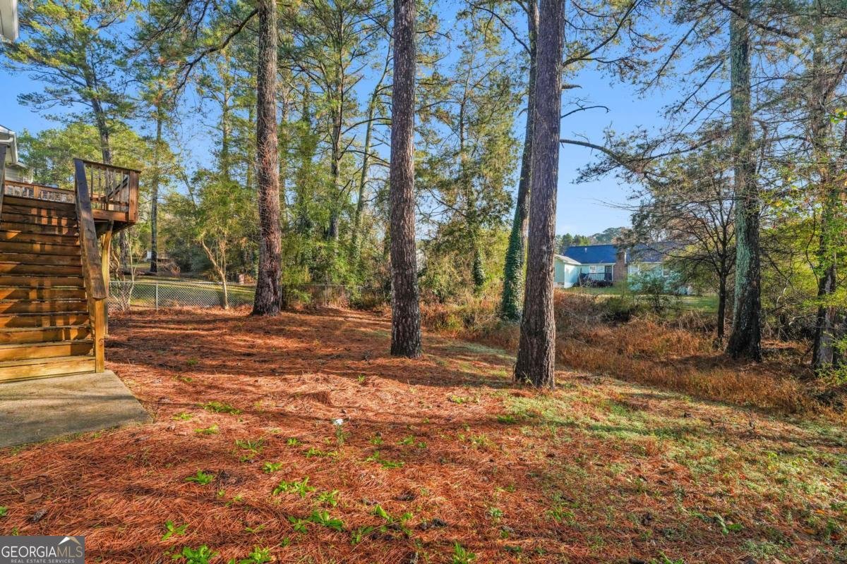 2158 Sara Ashley Way Lithonia - 25