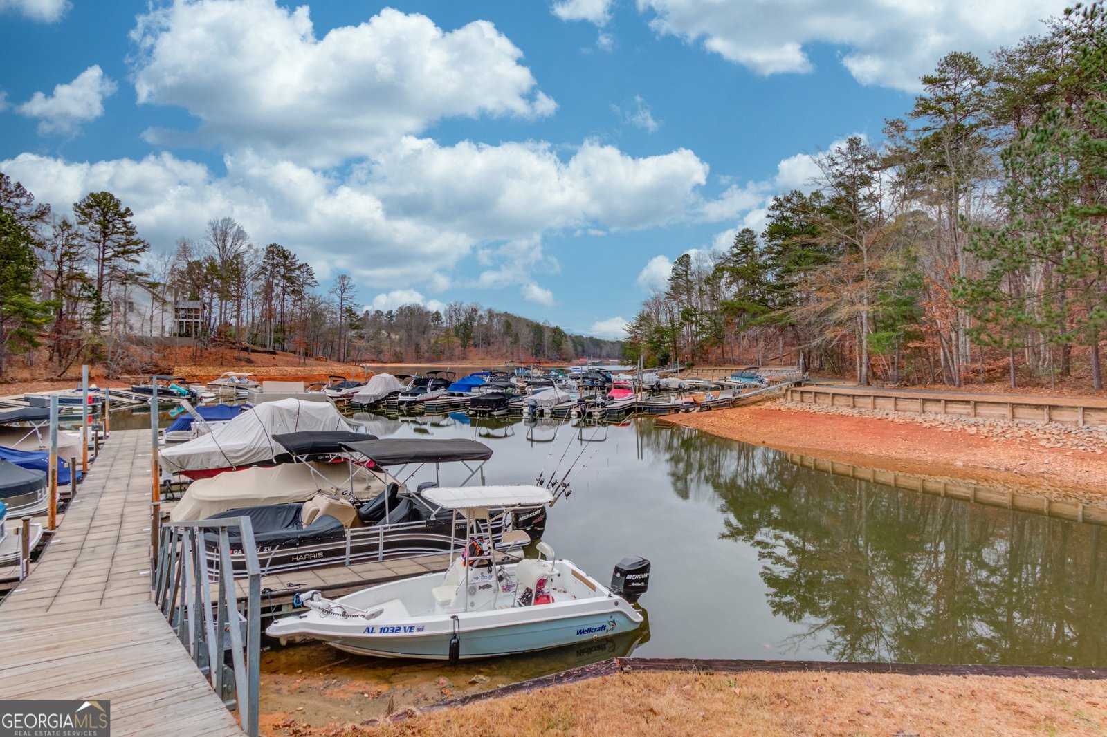 44 Parkside Circle Dawsonville - 98