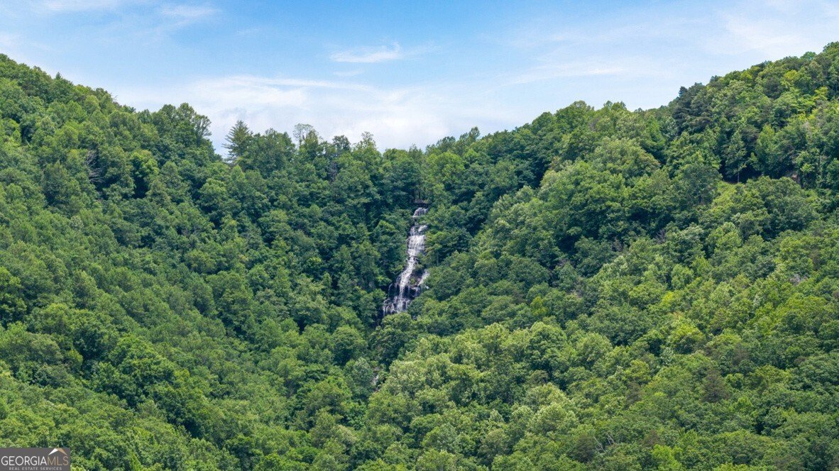 106 Hughes Place Drive Dawsonville - 40