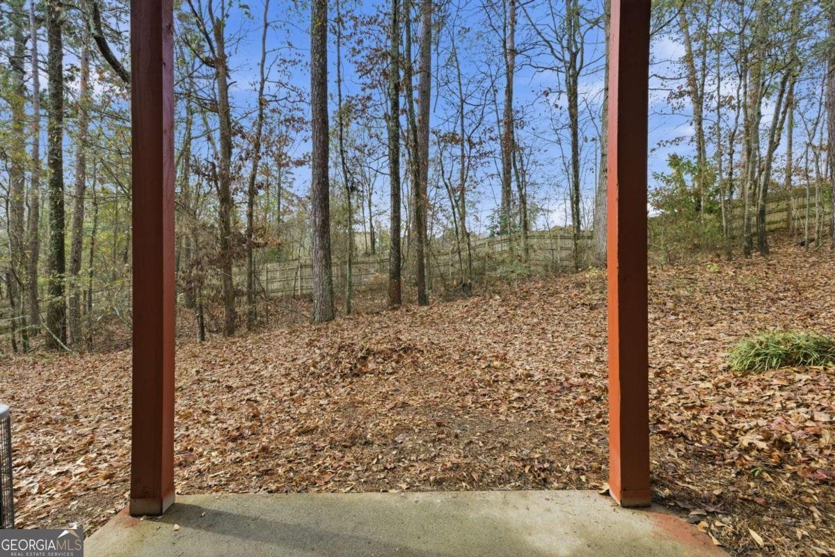 3160 Mill Springs Circle Buford - 24