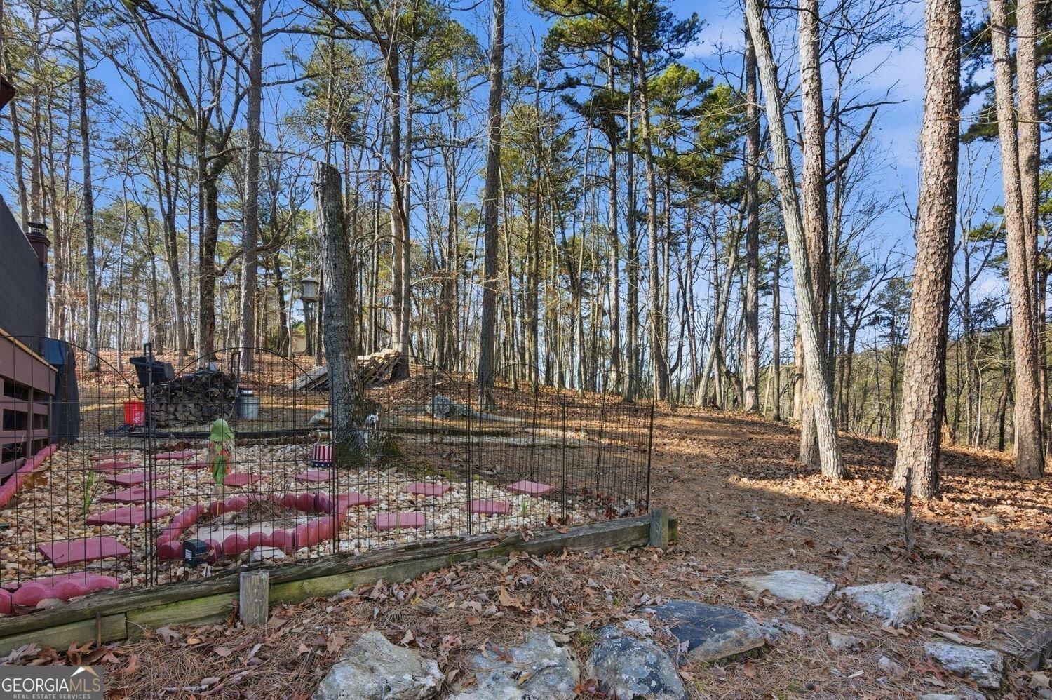 126 Delaney Pine Drive Waleska - 21