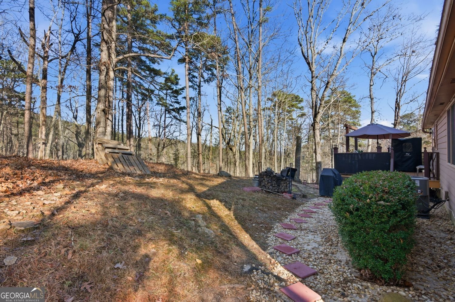 126 Delaney Pine Drive Waleska - 22
