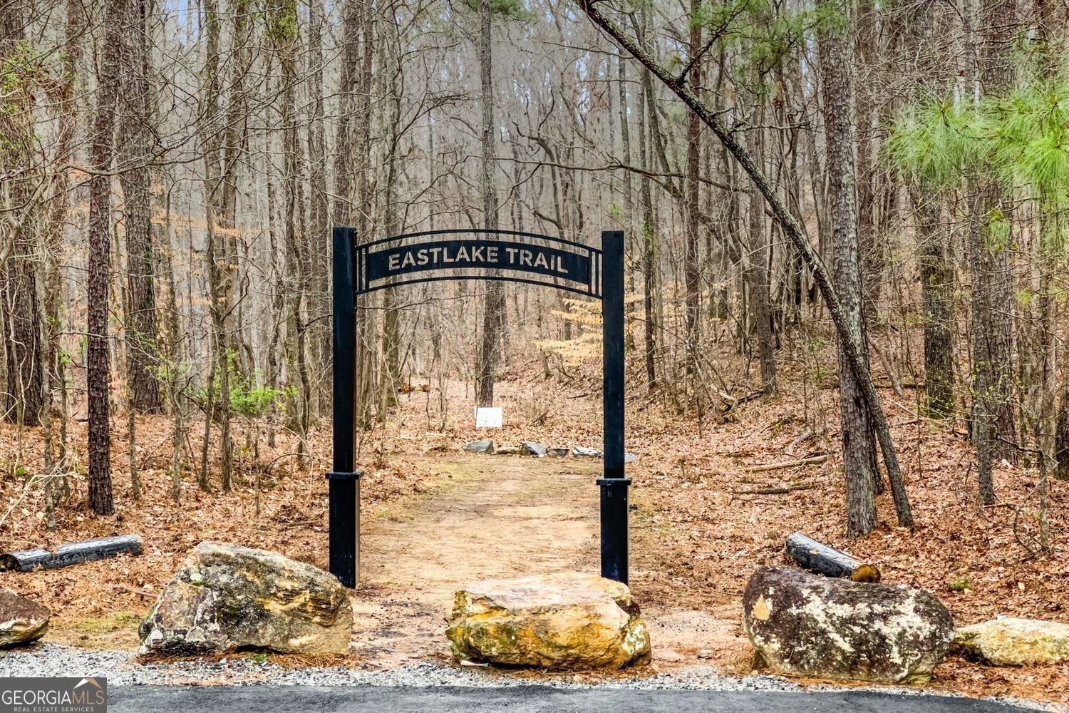 126 Delaney Pine Drive Waleska - 27