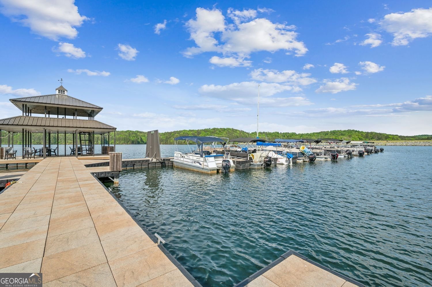 126 Delaney Pine Drive Waleska - 29