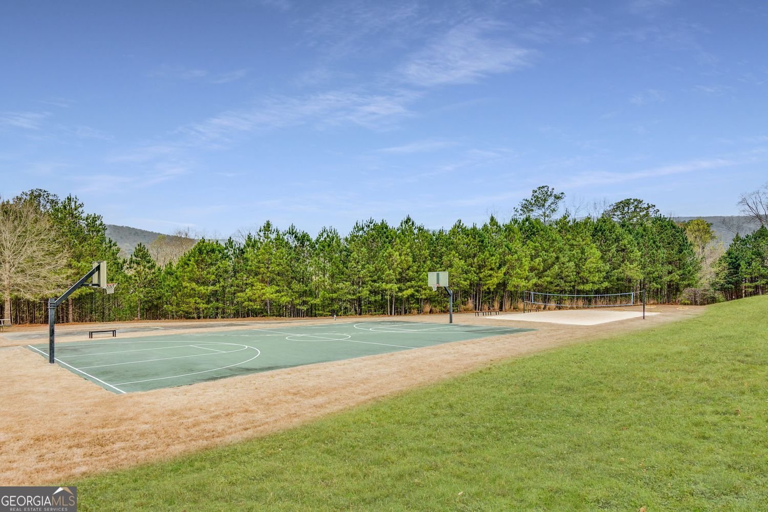 126 Delaney Pine Drive Waleska - 31