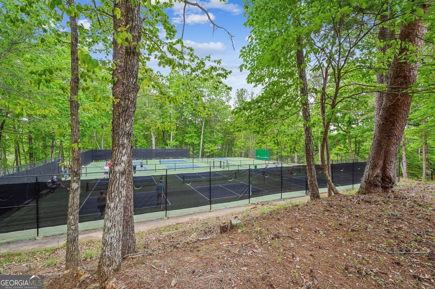 126 Delaney Pine Drive Waleska - 32