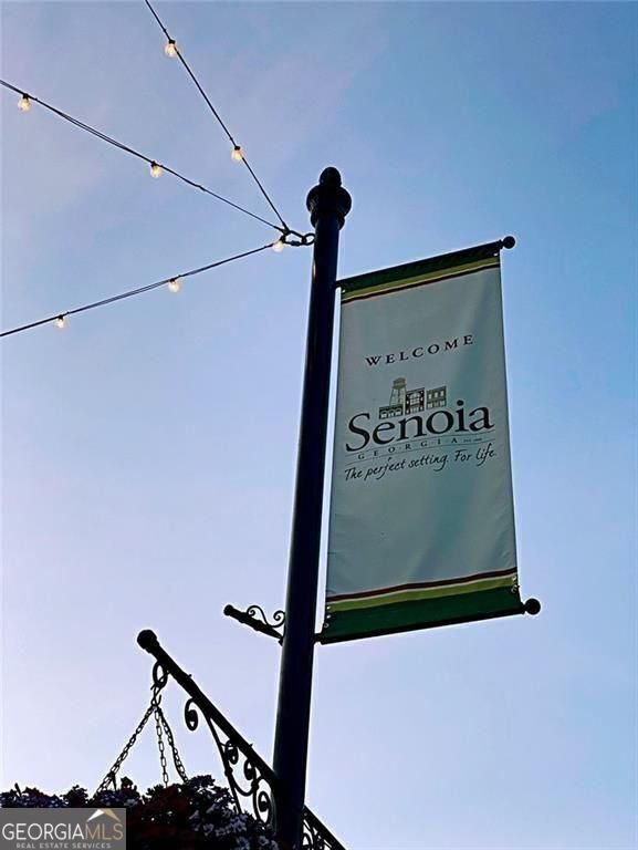 124 Morgan Street Senoia - 24