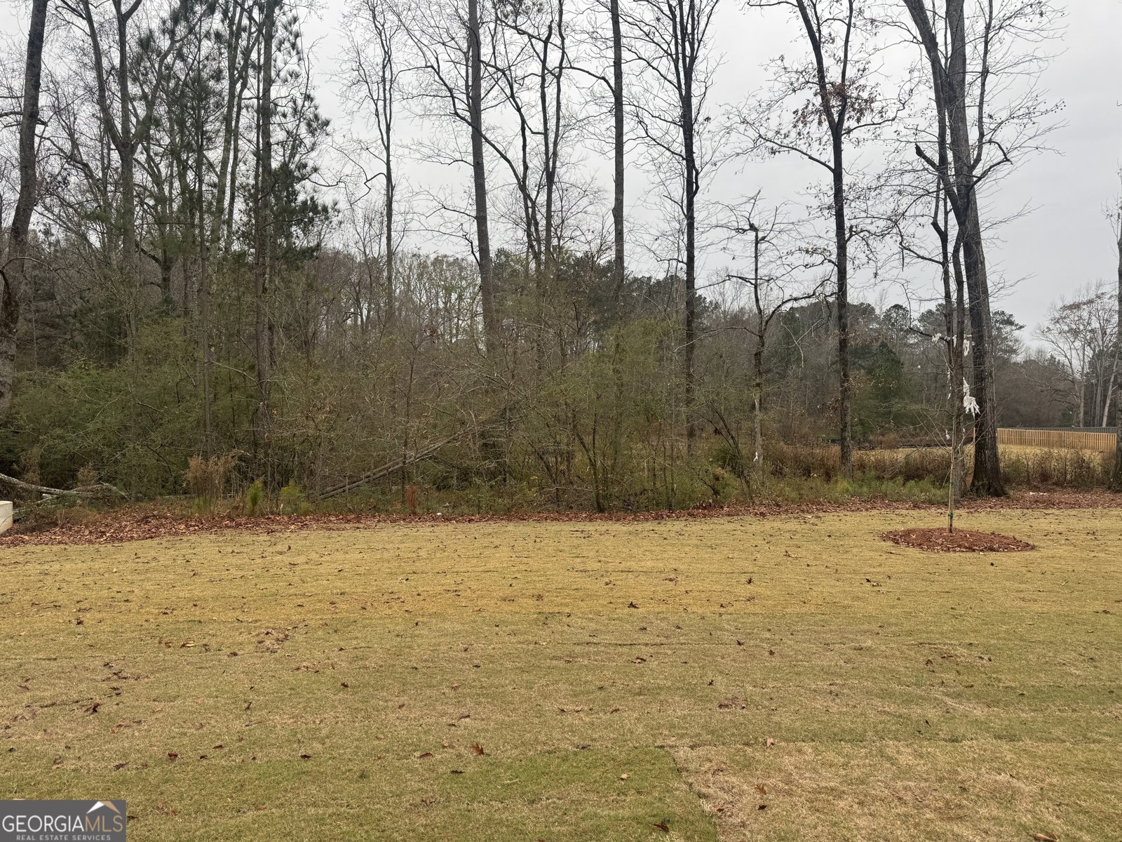 316 Bianca Way McDonough - 15