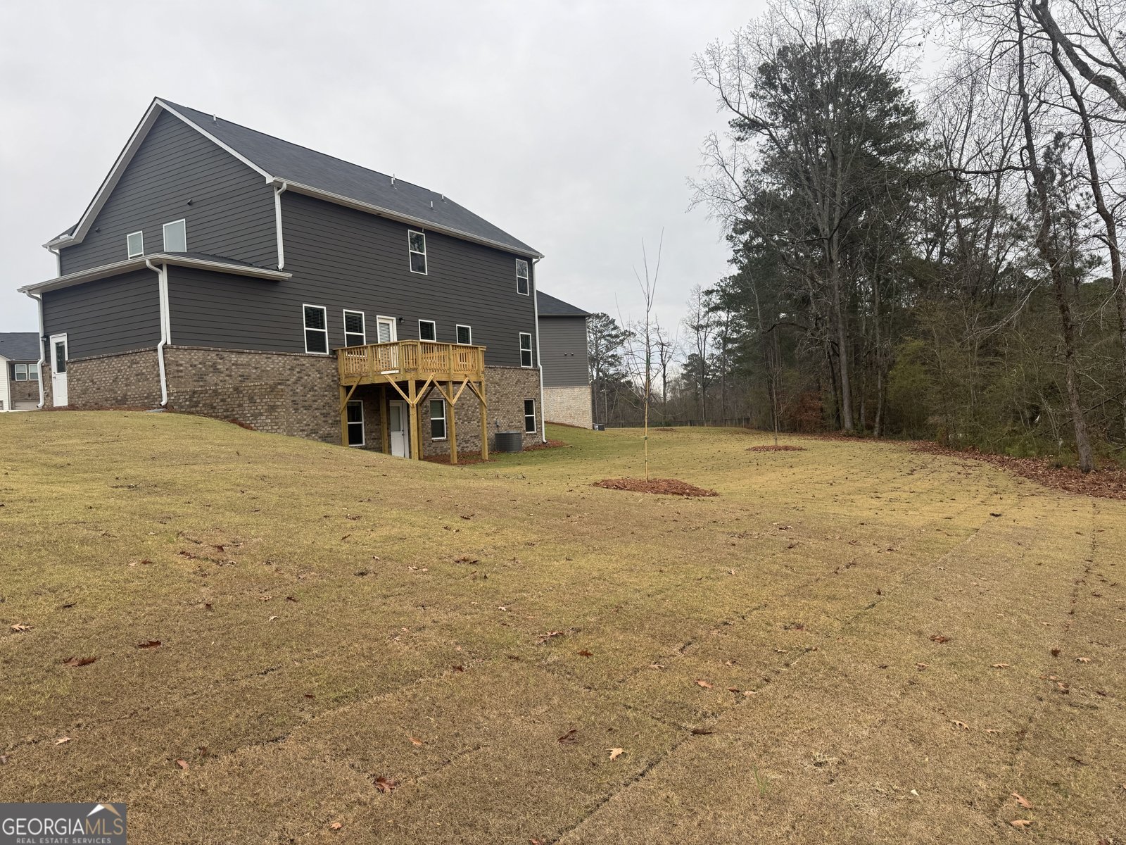 316 Bianca Way McDonough - 47