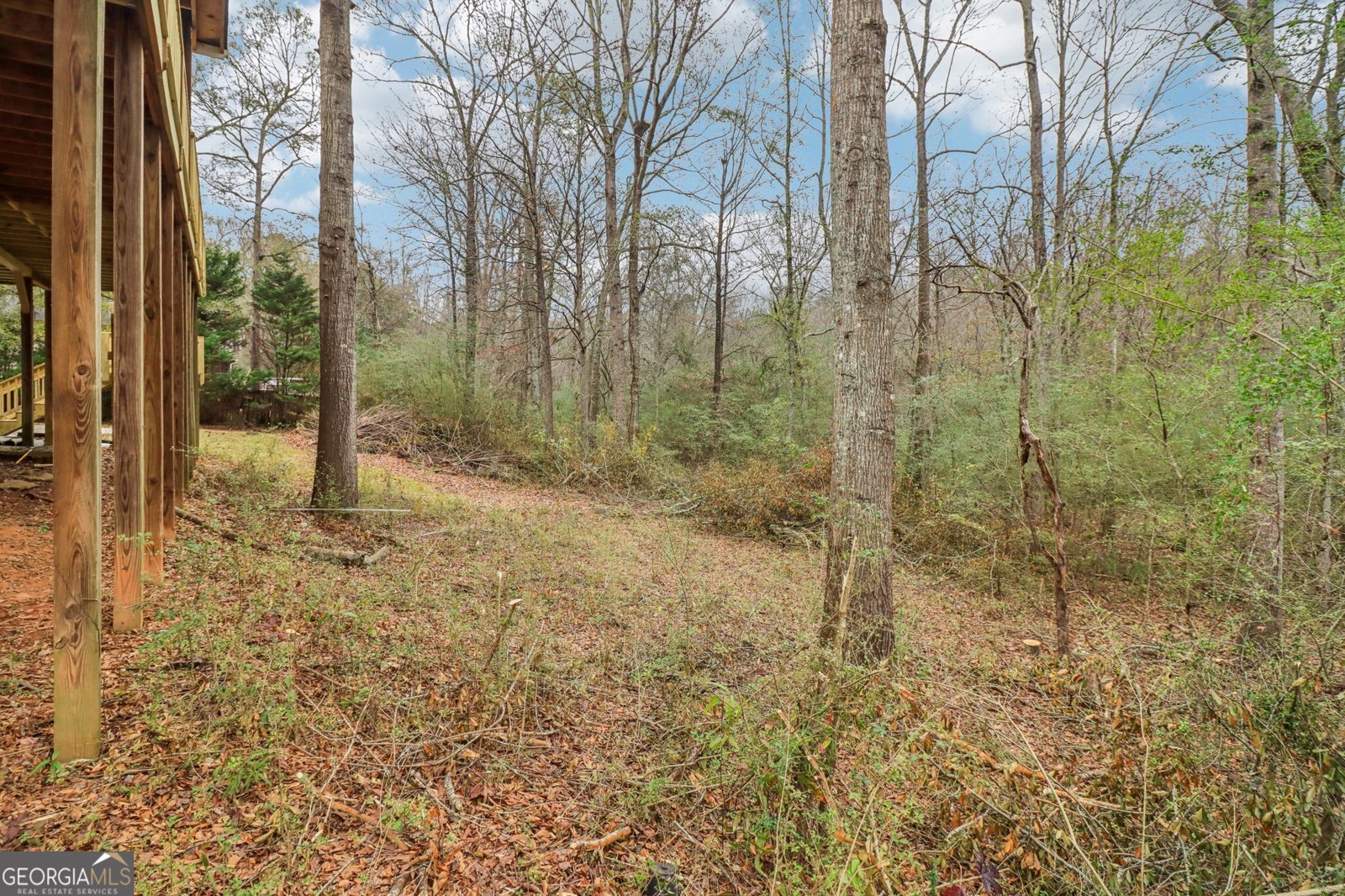 230 Aspen Lake Drive Newnan - 58