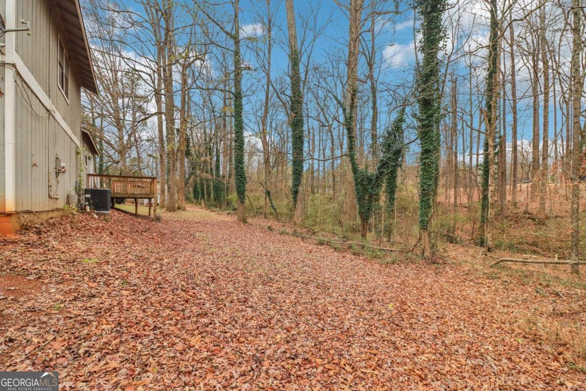 4173 Alicia Court Ellenwood - 38