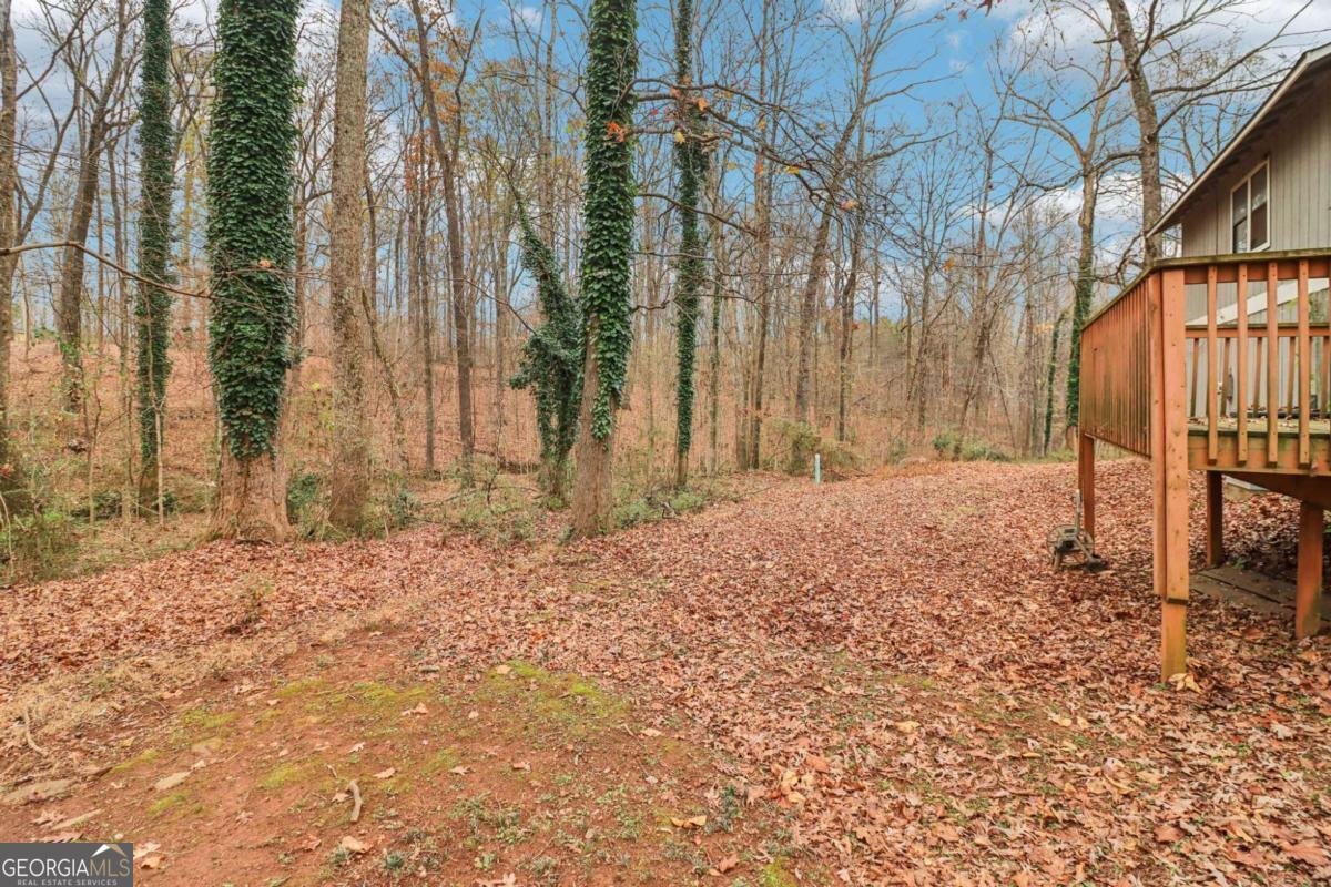 4173 Alicia Court Ellenwood - 43