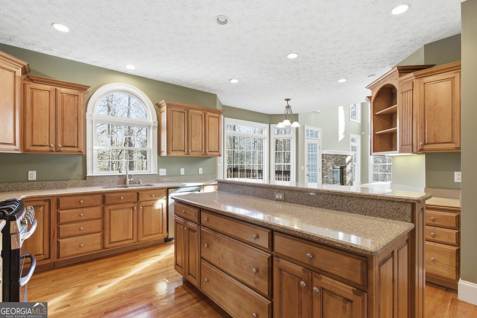 180 Springbrook Drive Cornelia - 14