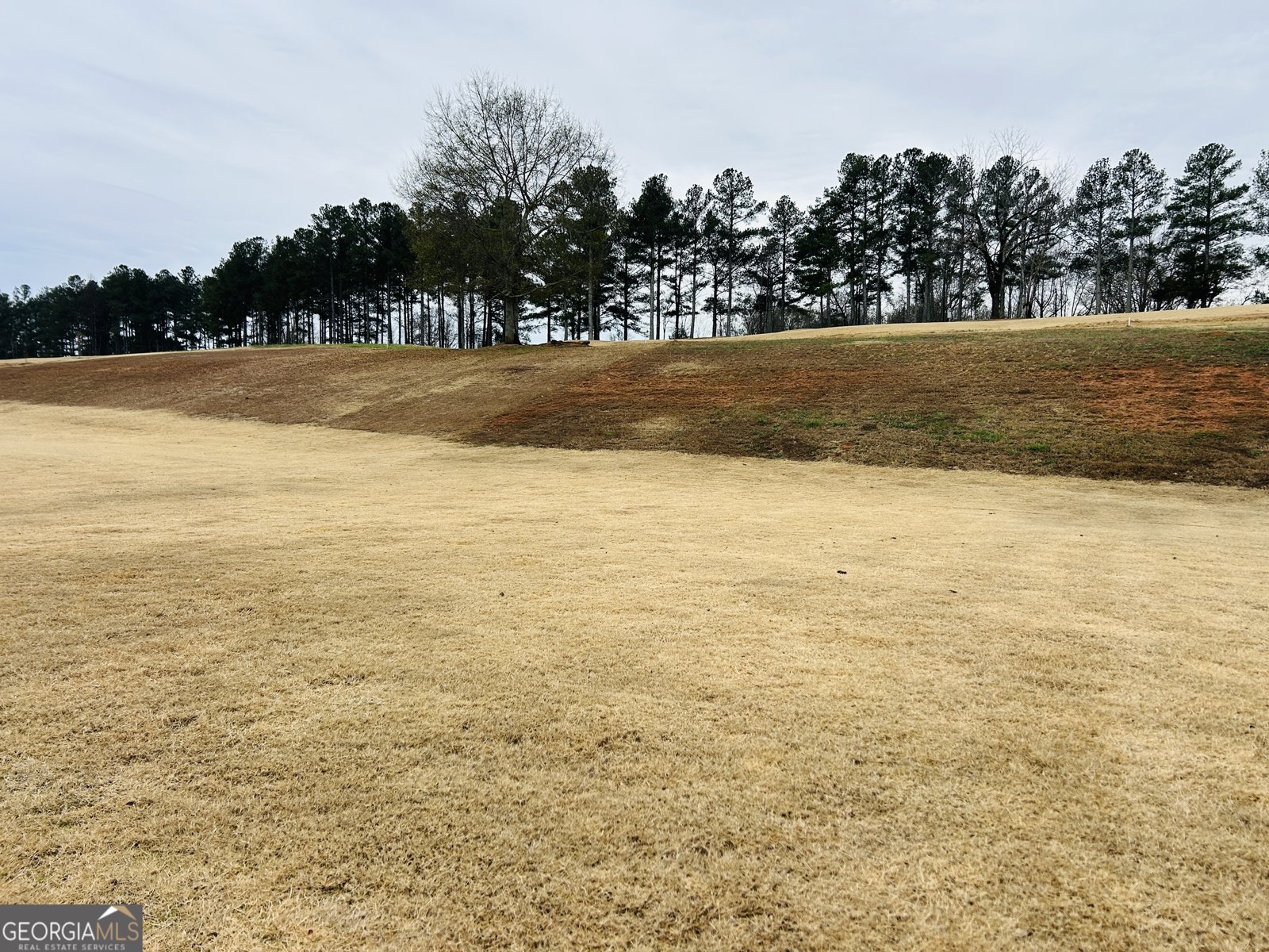 151 Sweetbriar Way Homer - 4