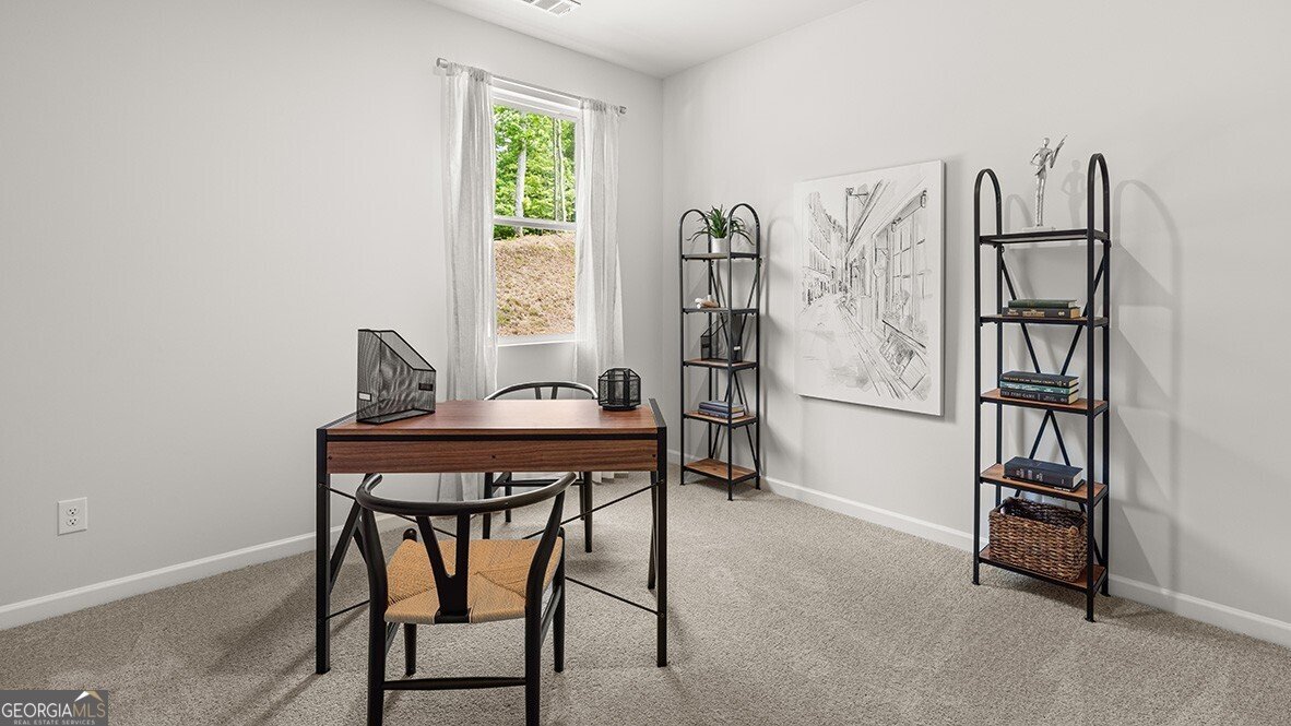 344 Belmont Drive Cartersville - 18