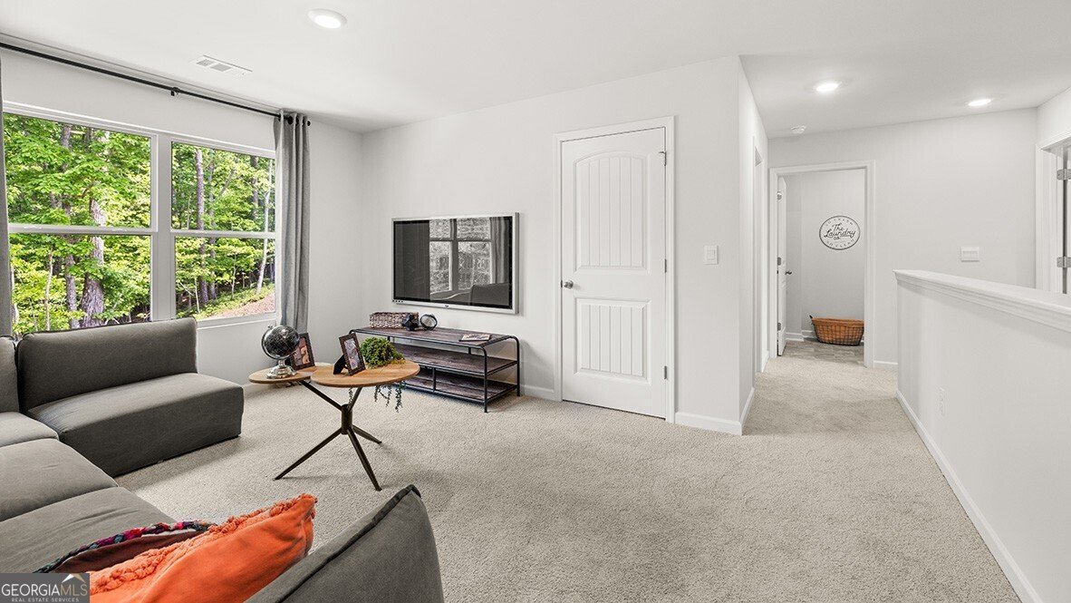 344 Belmont Drive Cartersville - 32