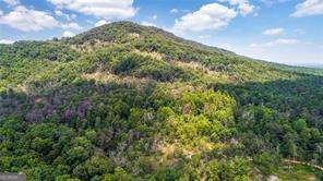 1939 Parkview Trace Kennesaw - 52