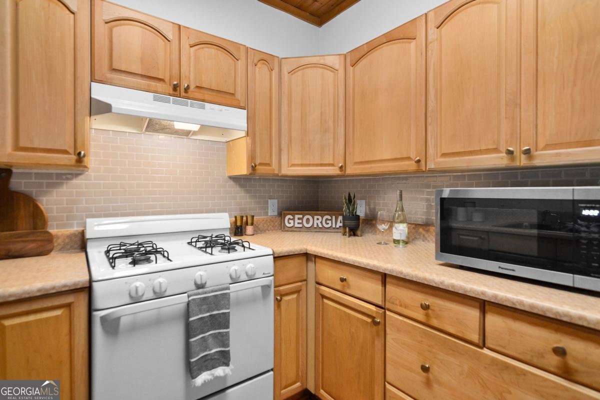 223 Mango Circle Ellijay - 11