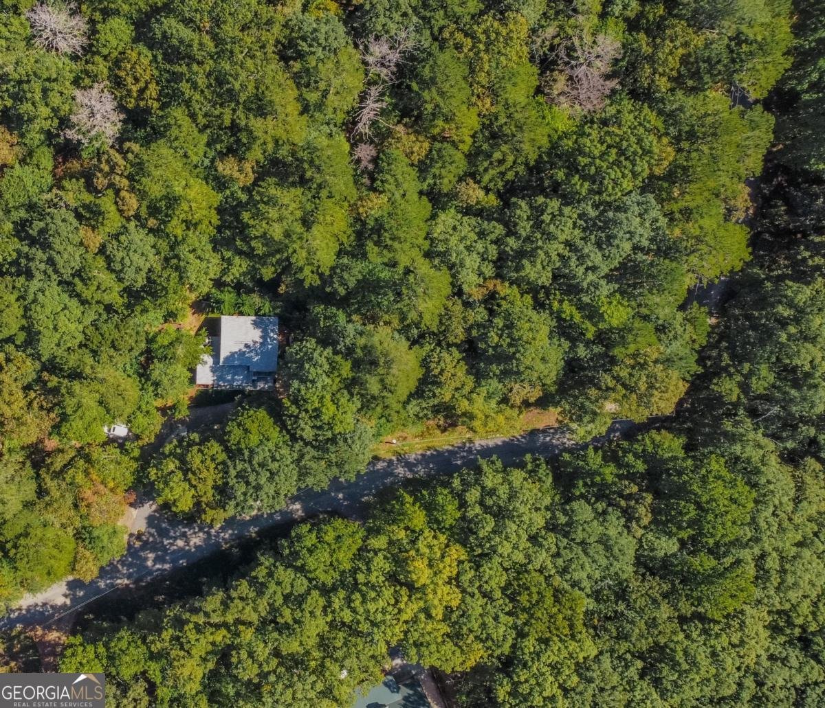 223 Mango Circle Ellijay - 4