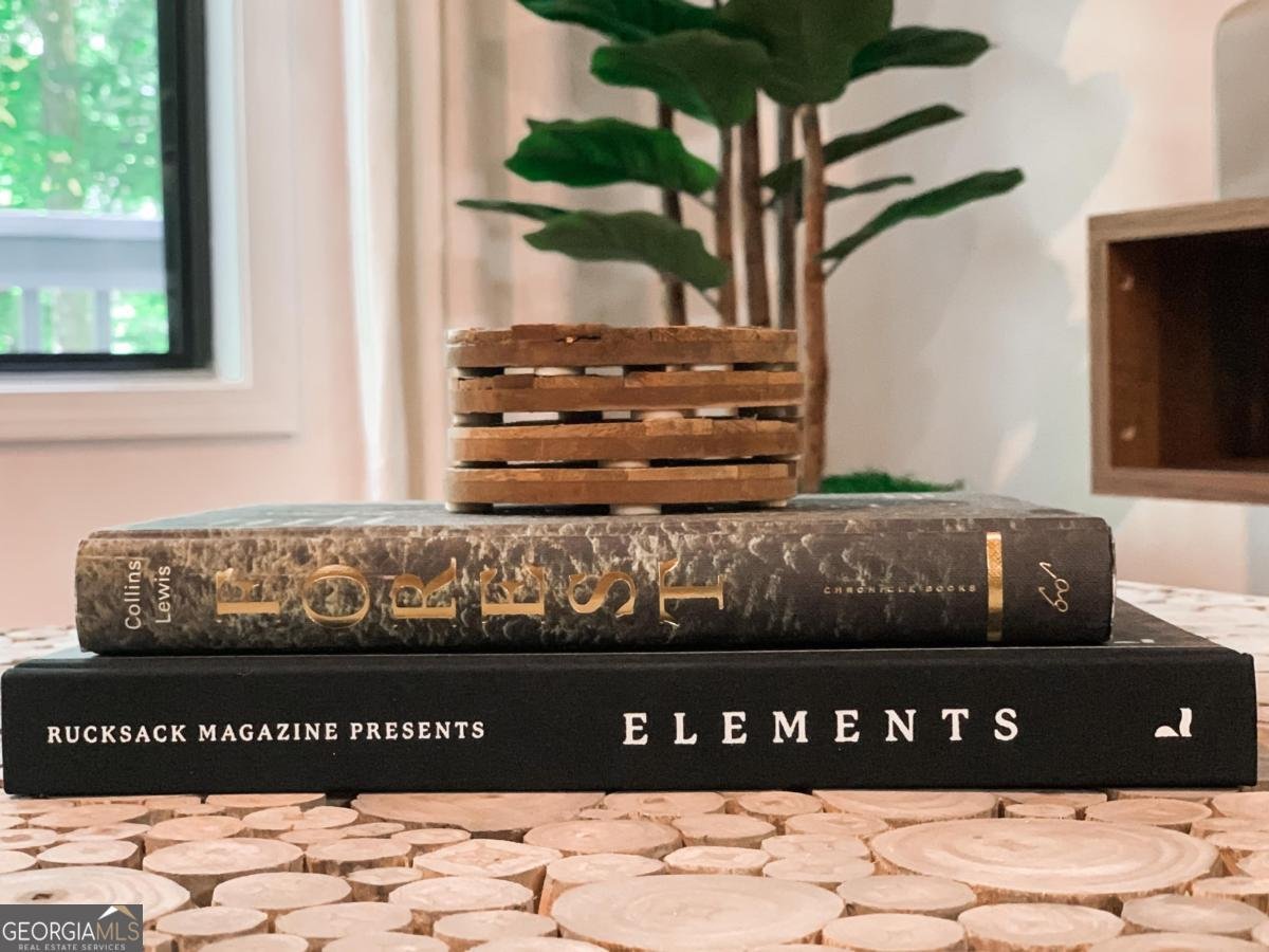 223 Mango Circle Ellijay - 8