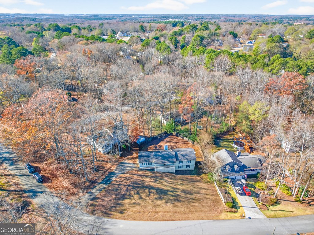 2538 Forestdale Drive Dacula - 22