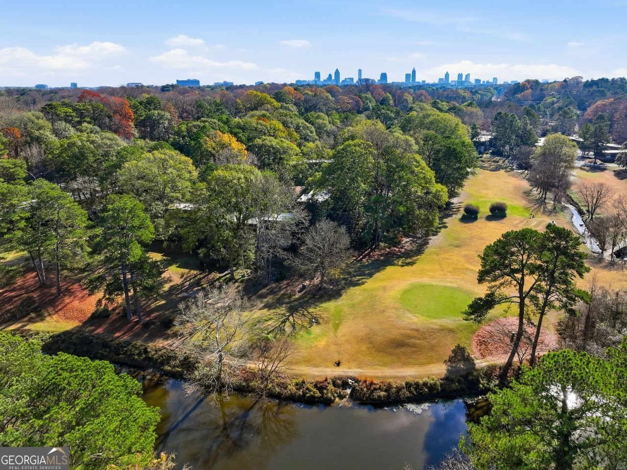 170 ELYSIAN Way Atlanta - 16