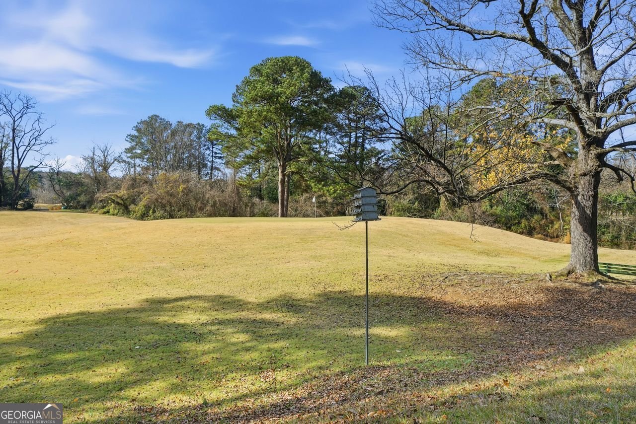 170 ELYSIAN Way Atlanta - 20