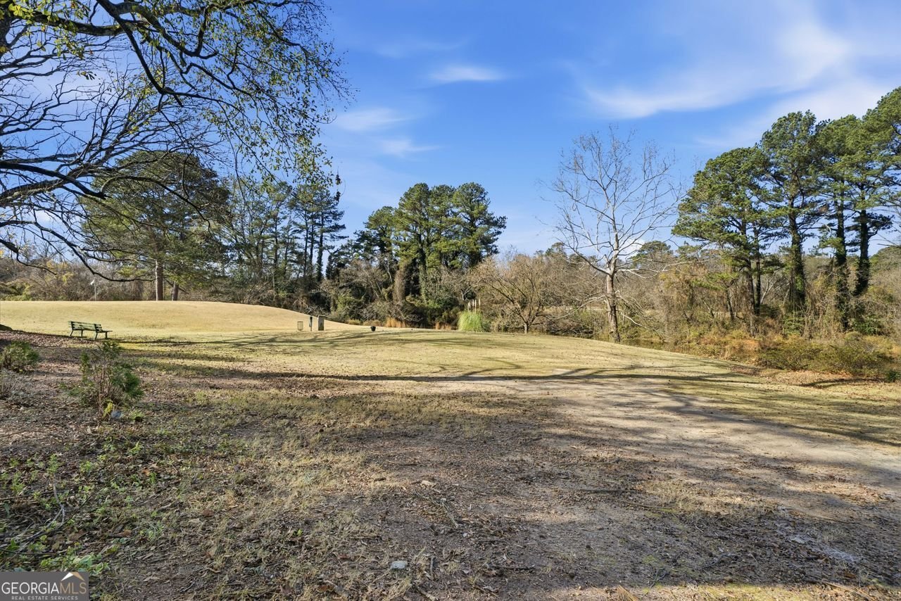 170 ELYSIAN Way Atlanta - 21