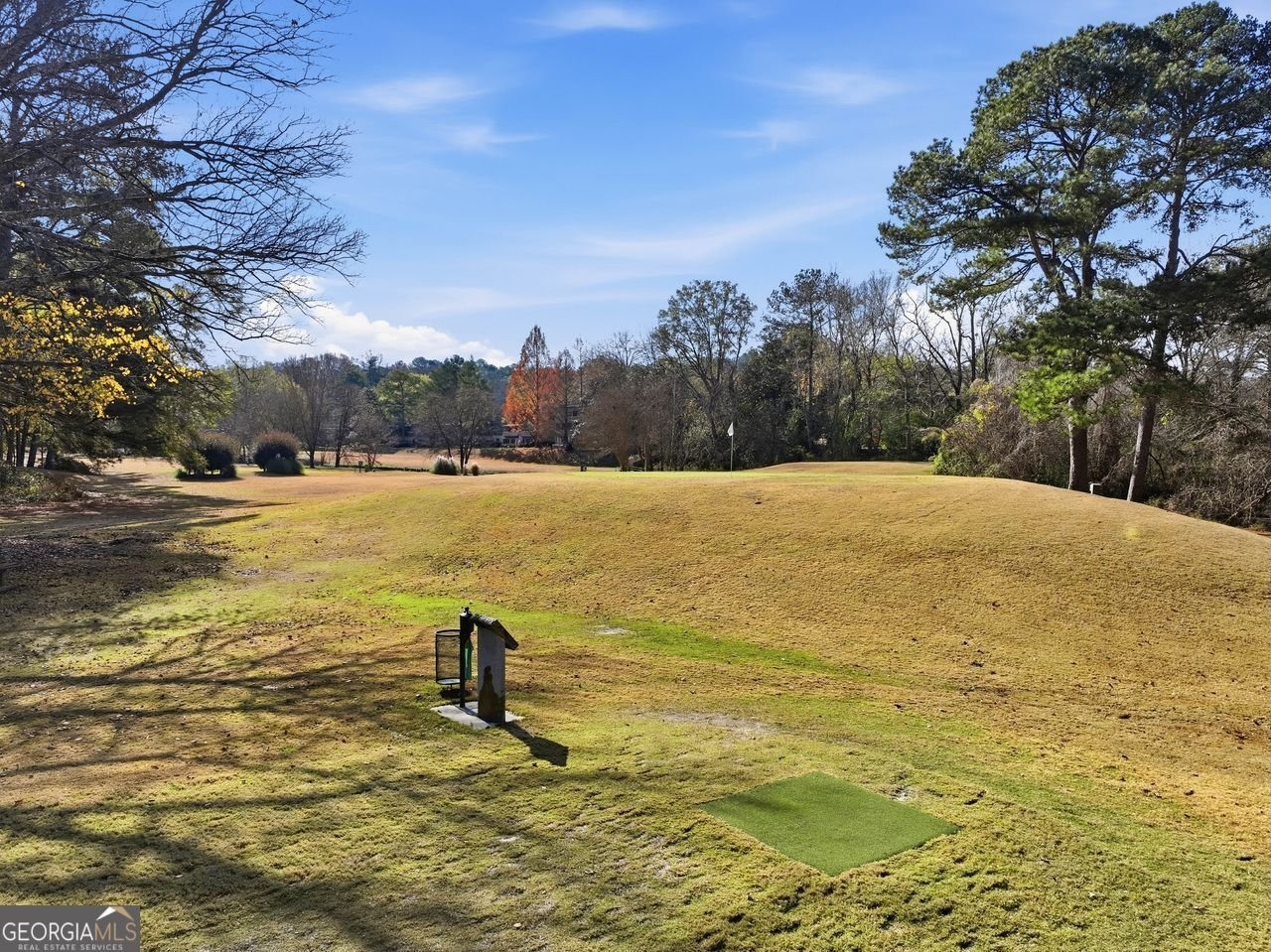 170 ELYSIAN Way Atlanta - 22