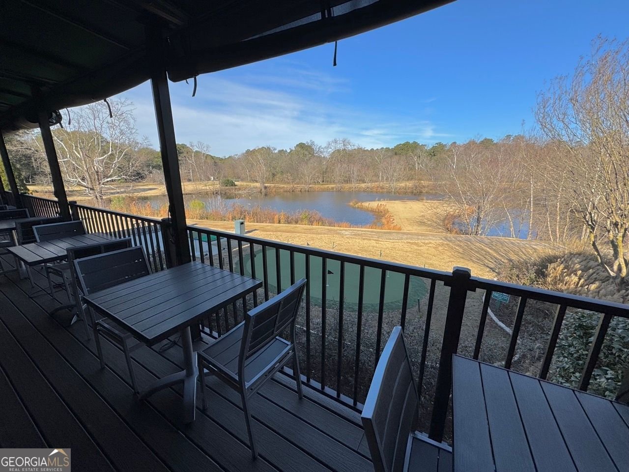 170 ELYSIAN Way Atlanta - 52